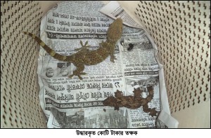 Daily Habiganj Samachar_Toktok copy